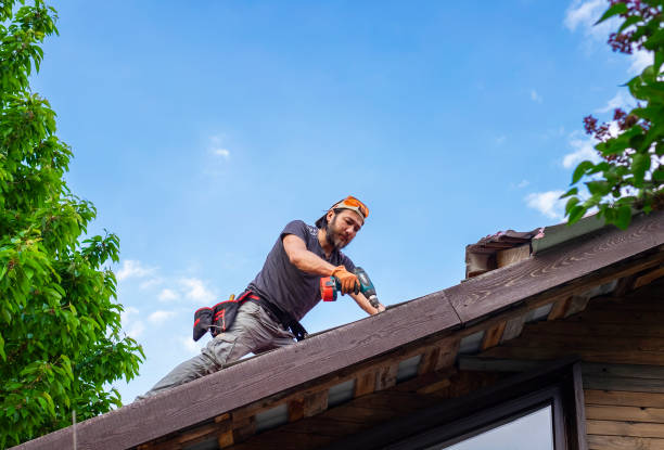 Best Storm Damage Roof Repair  in Renovo, PA